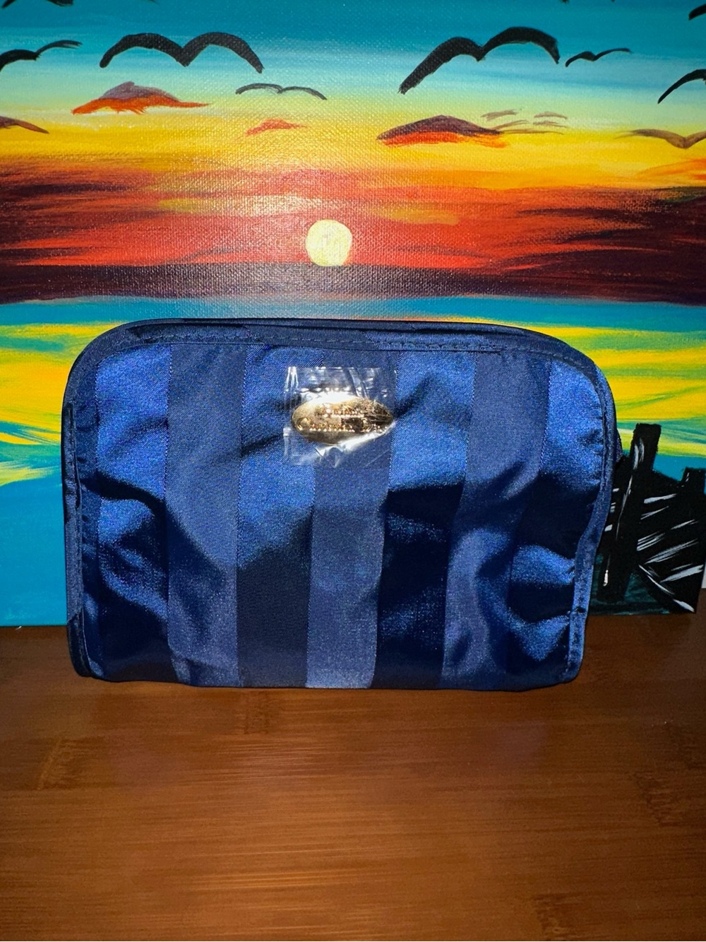 Dior Parfums Navy Cosmetic bag